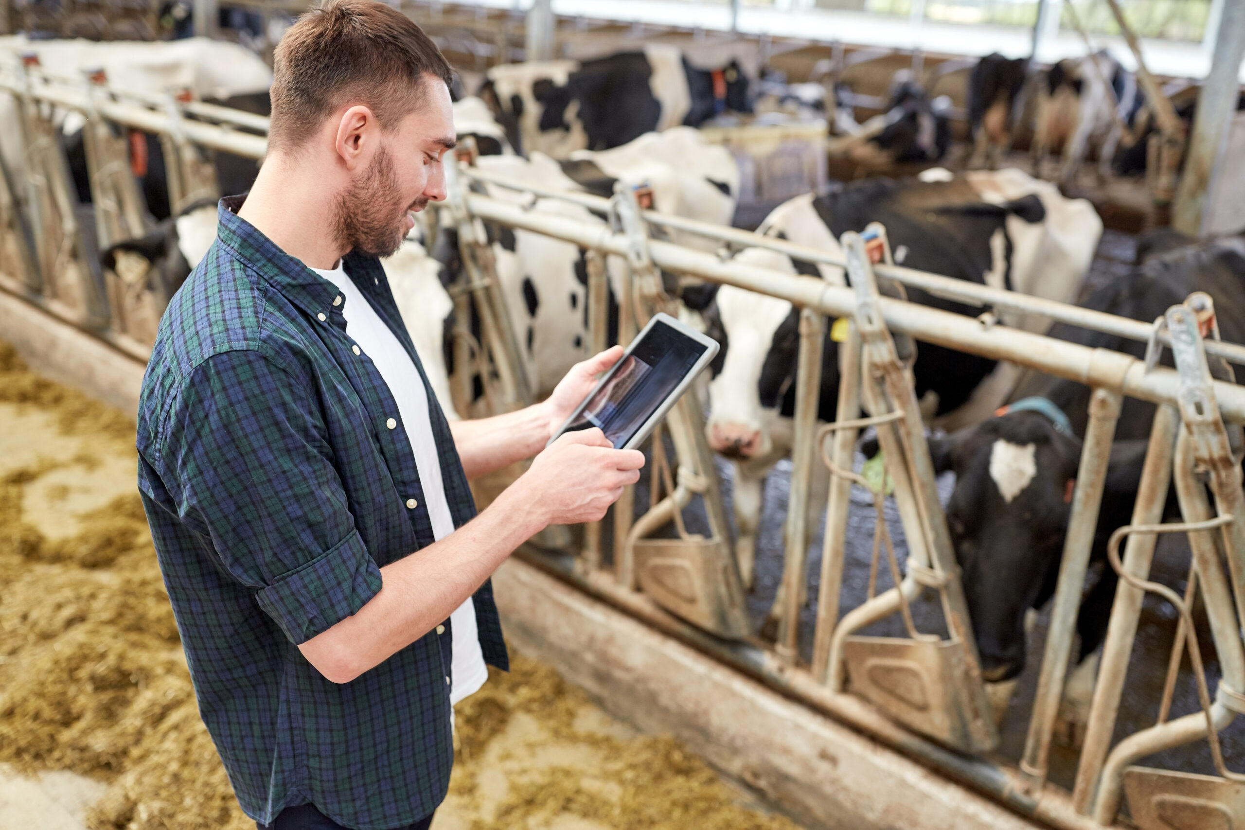 Top 10 Reasons to Upgrade to Cattlytics for Automated Cattle Management Solution