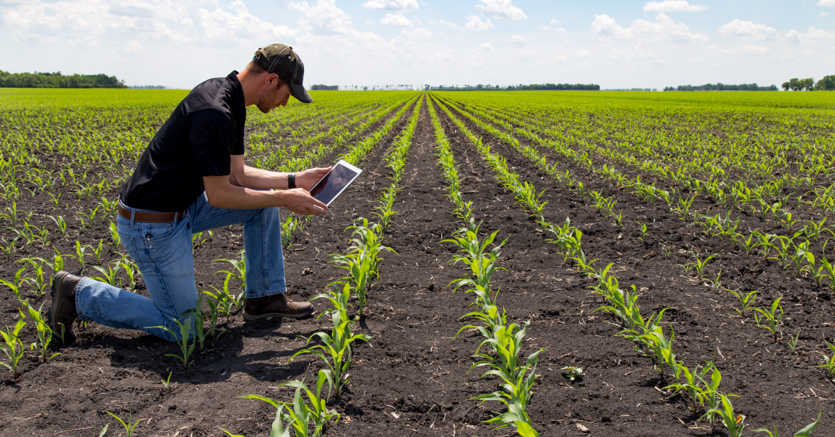 Role of Seed Management Software in Optimizing Seed Treatment Strategies
