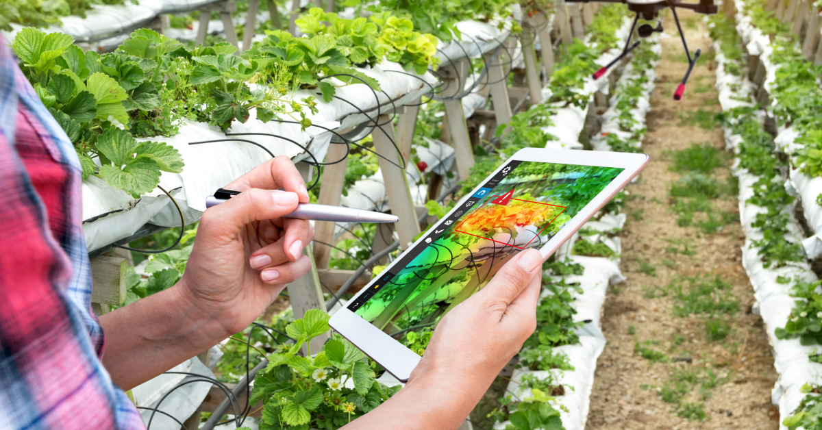 How ERP System Integration Helps Precision Agriculture Grow?