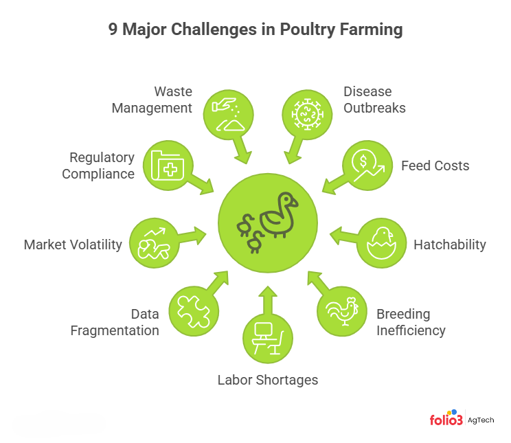 9 Biggest Challenges Facing Poultry Farming