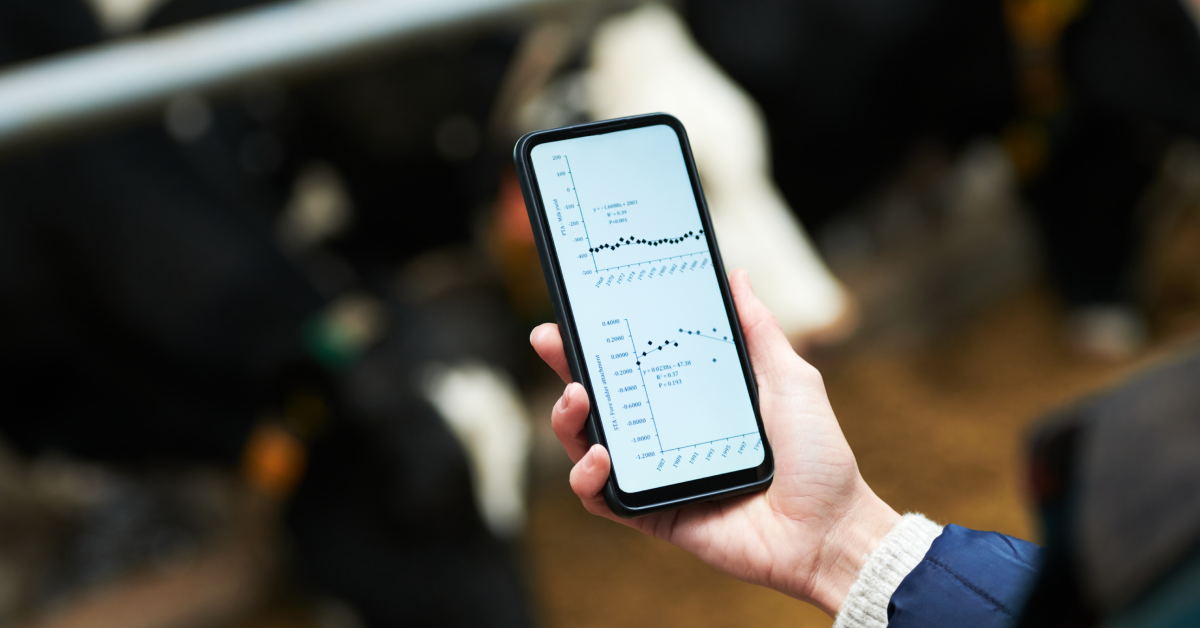 The Role of New Technologies to Ensure Compliance in the Feedlot Cattle Industry