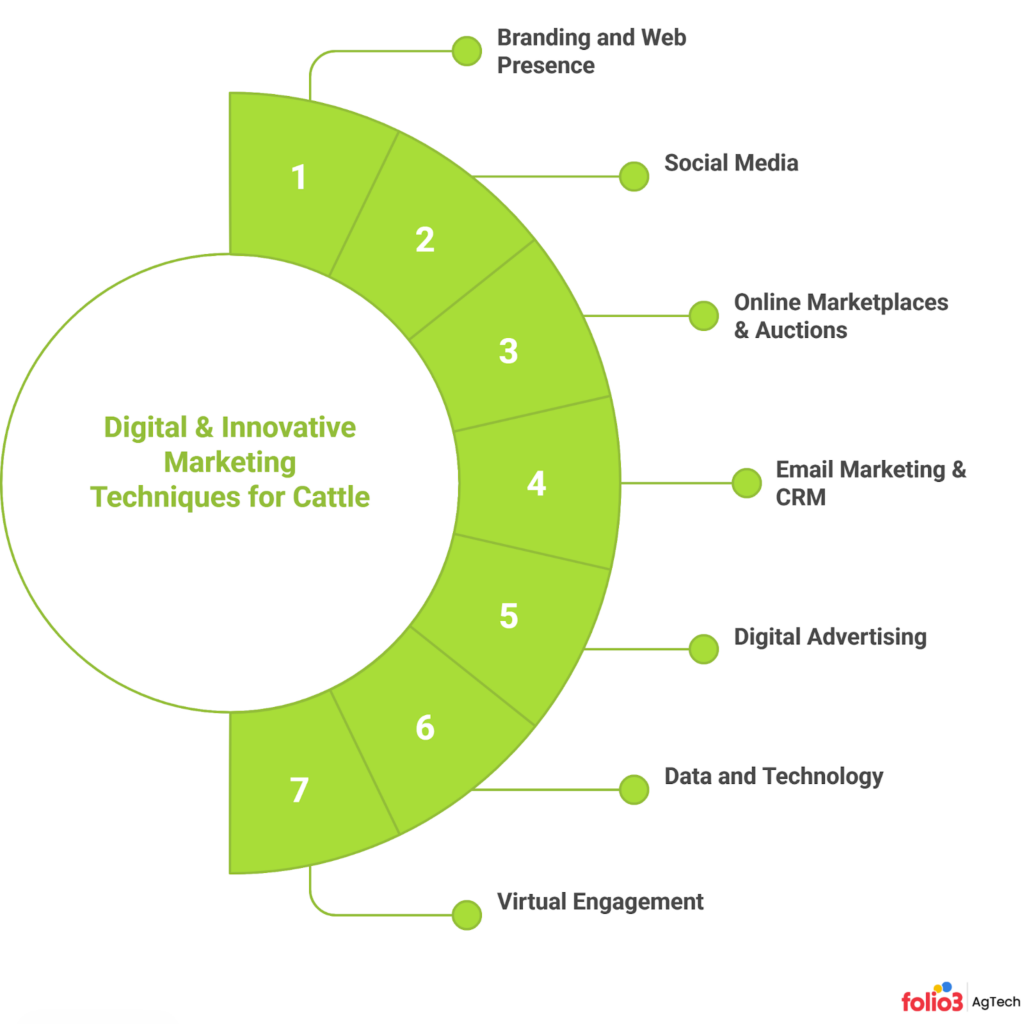 Marketing Techniques for Cattle