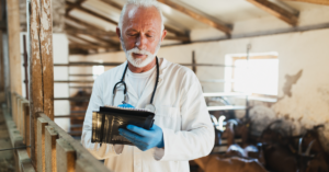 goat farming