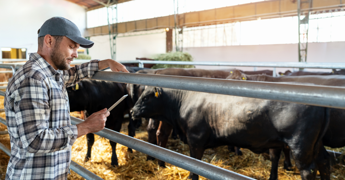 livestock farming technology