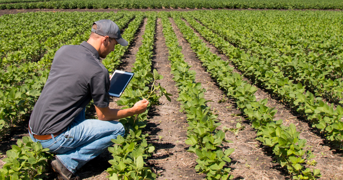 farm management