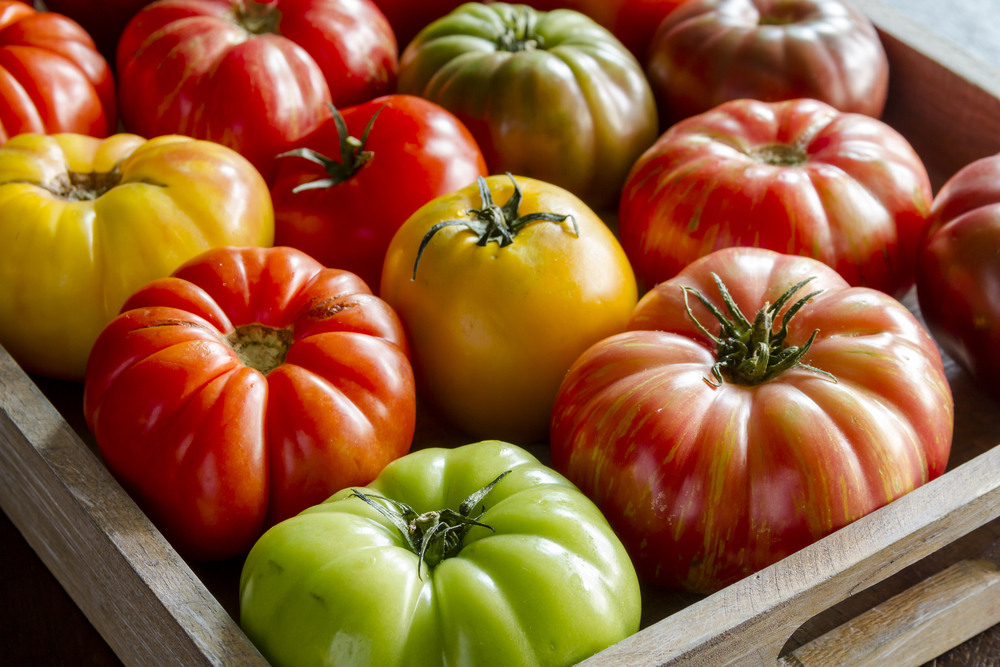 Heirloom tomatoes