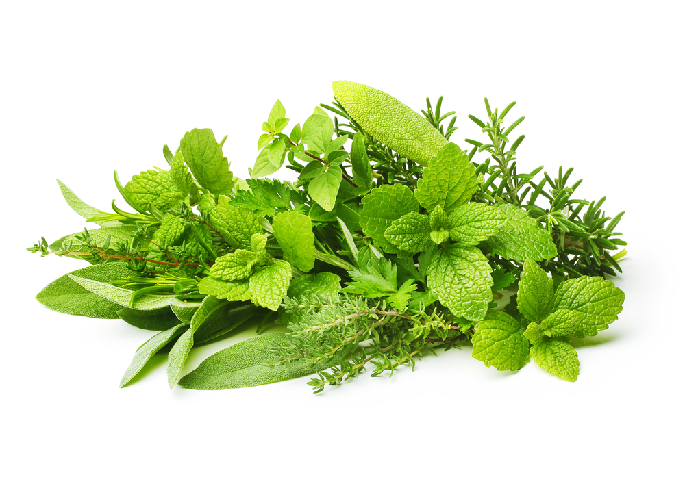 fresh herbs