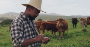 livestock sensor