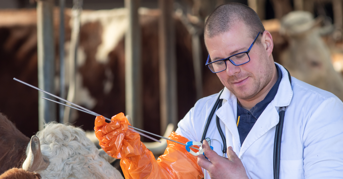 A Comprehensive Overview of the Ovum Pick-Up (OPU) Technique in Livestock Breeding