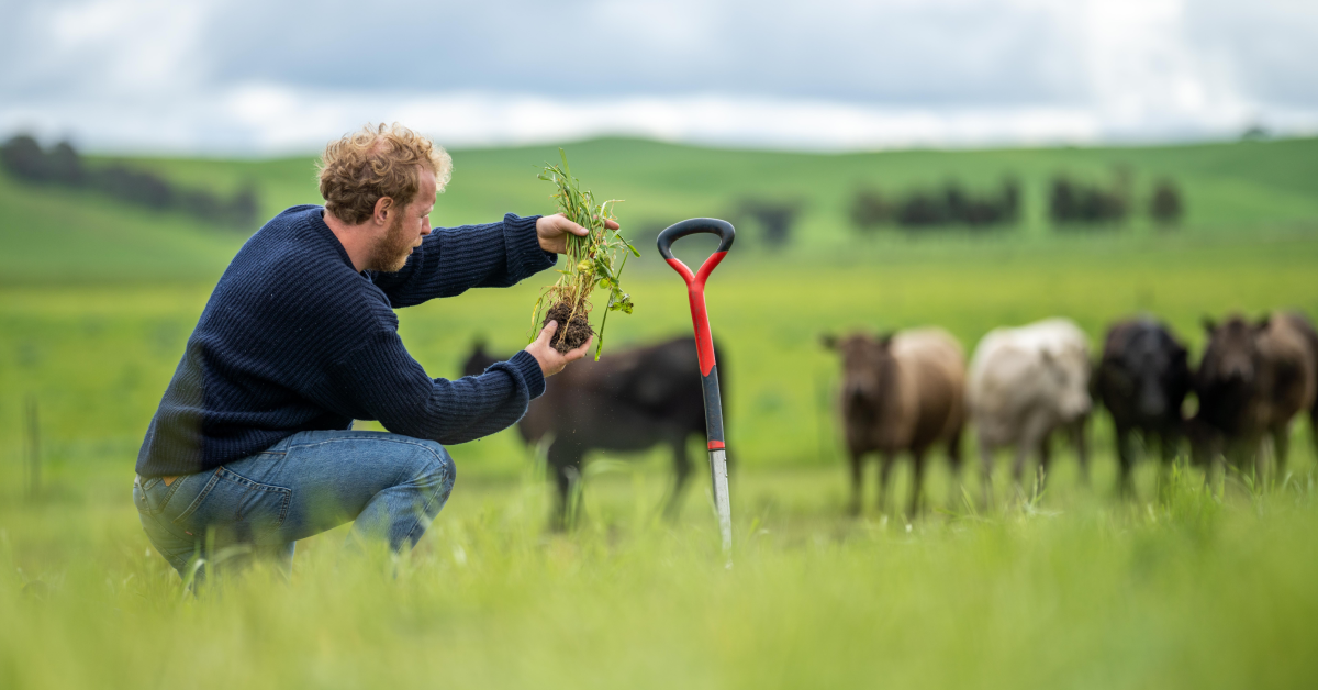 regenerative agriculture