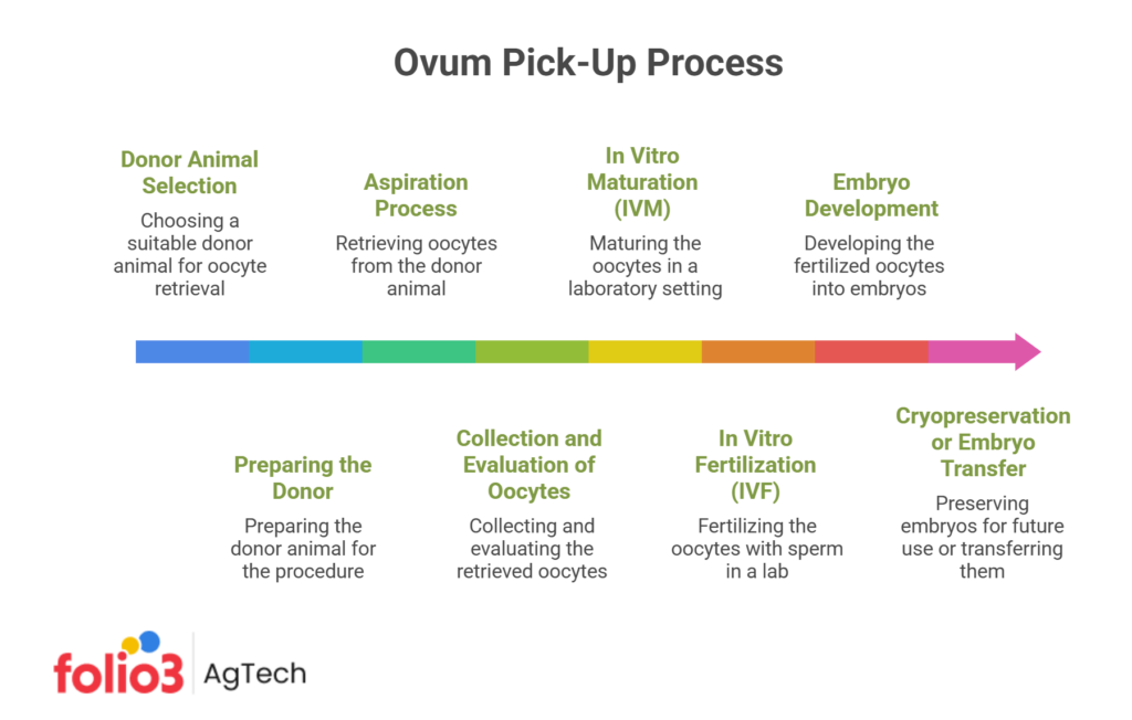 Ovum Pick-Up