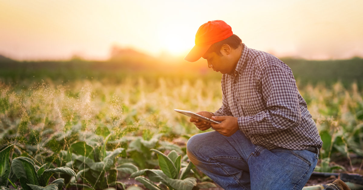 NetSuite integration in agriculture