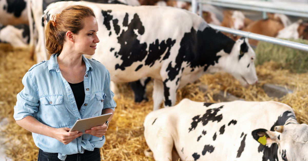 dairy herd management