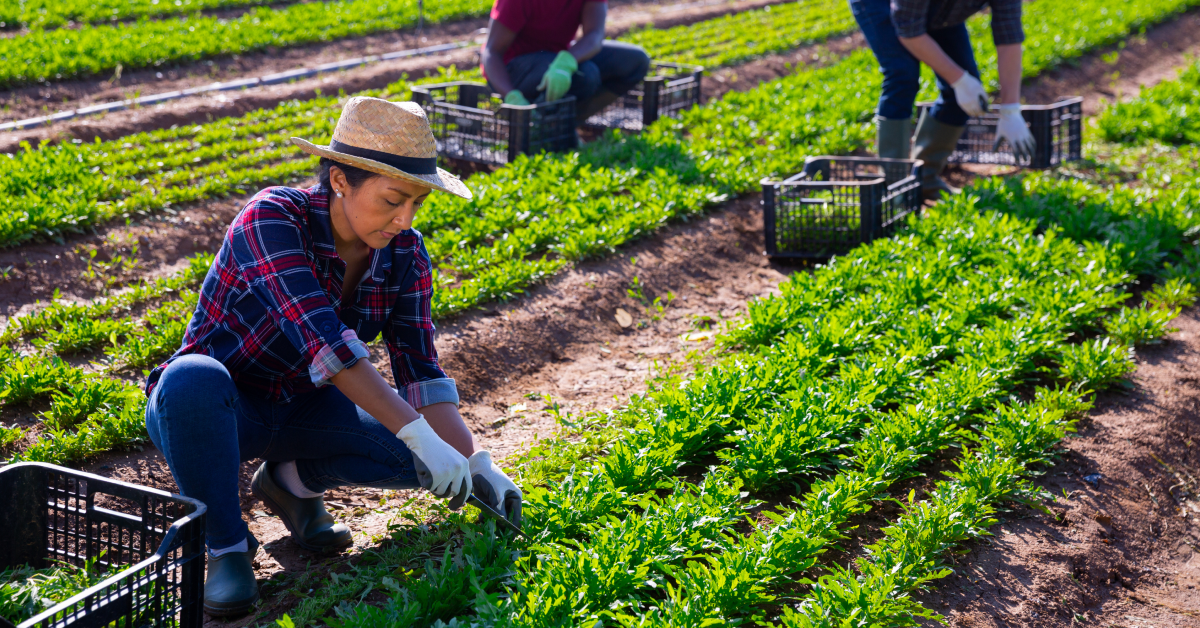 fact about agriculture