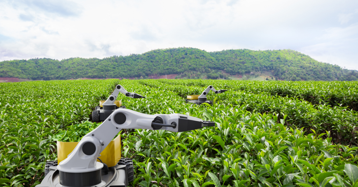 robotics in agriculture