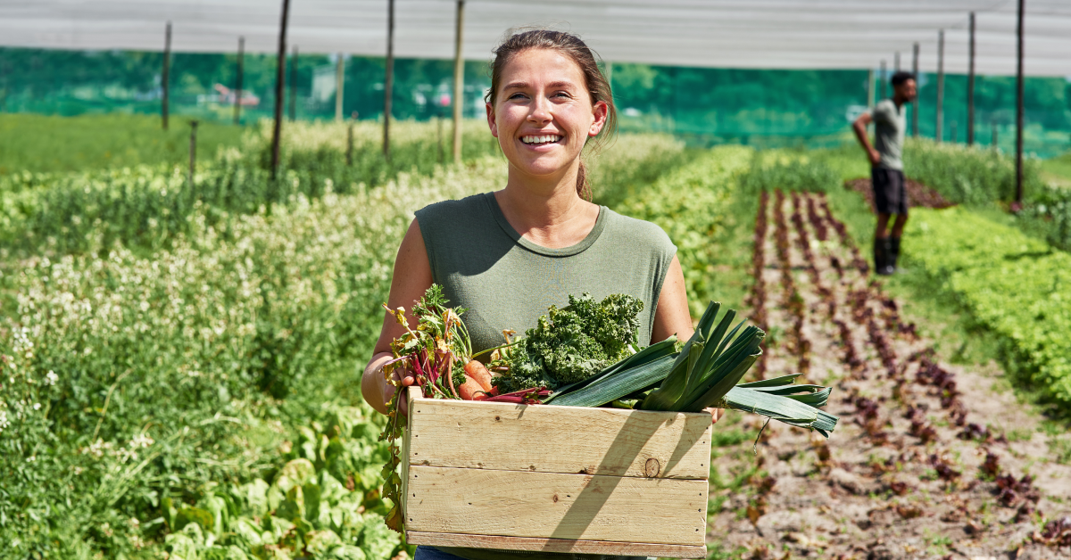 agricultural productivity