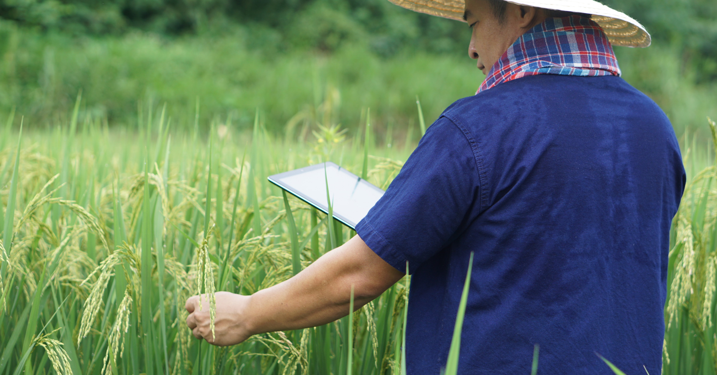 farm record-keeping