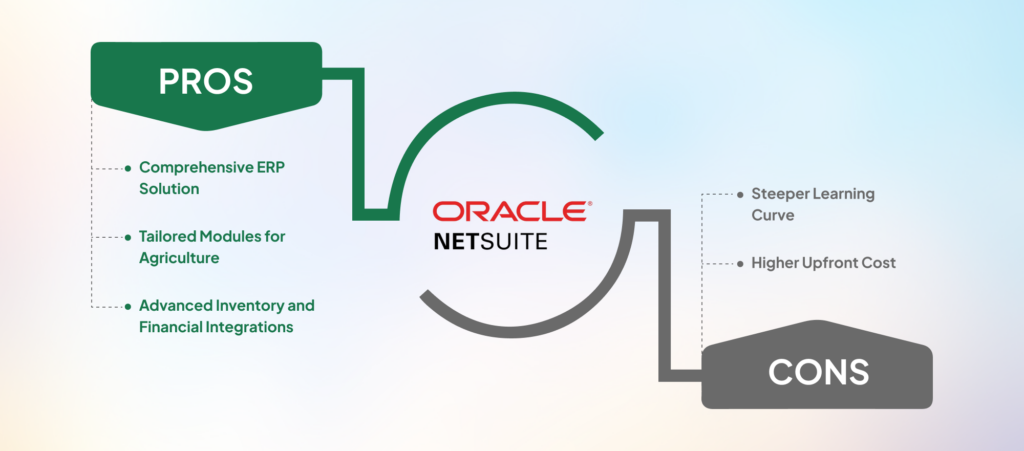 NetSuite pros & cons