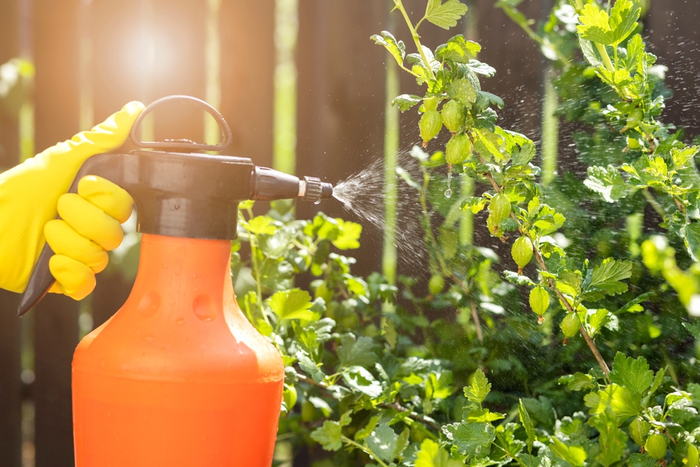 farmer spraying pesticides