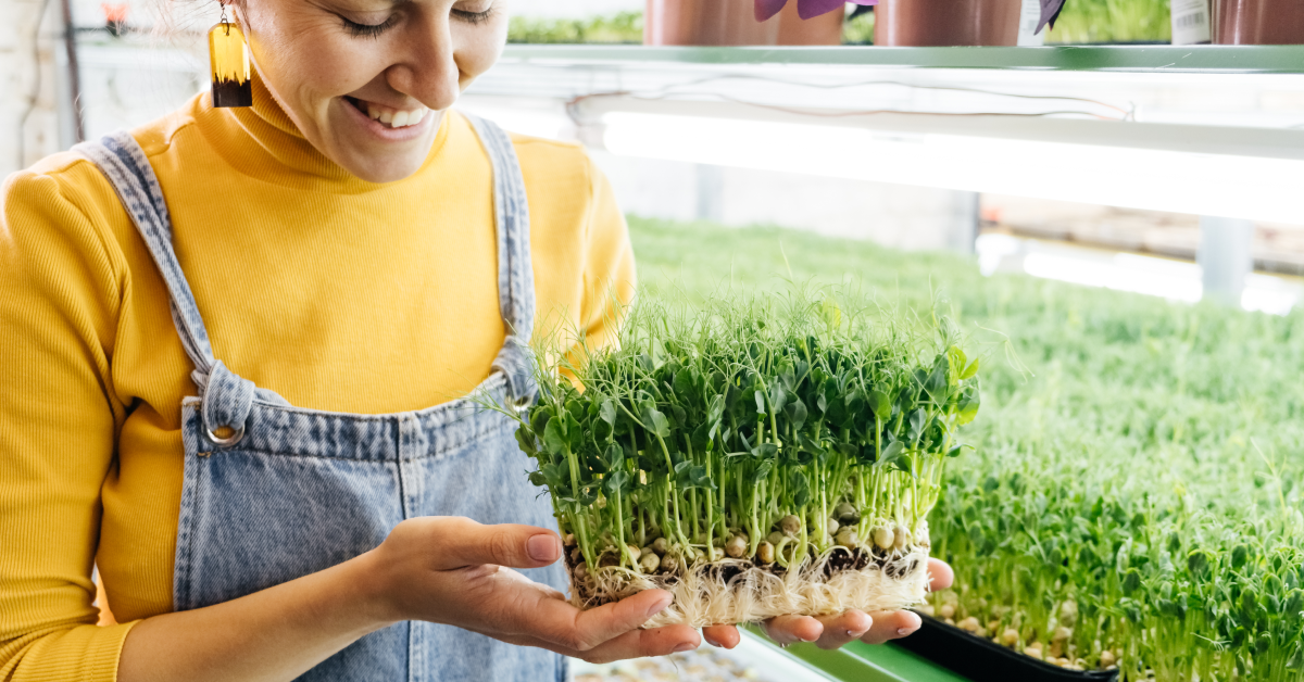 microgreens business