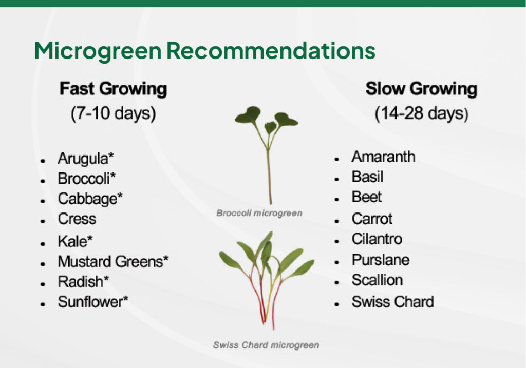 microgreen recommendations