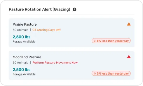 image of Alerts & Notifications