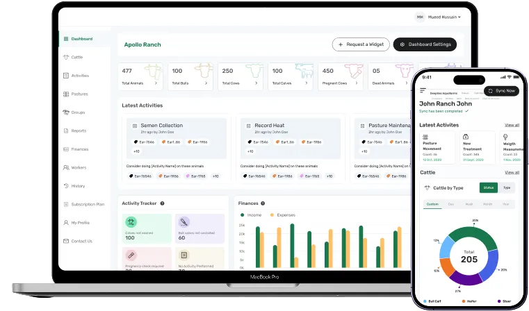 dashboard screen of cattle record keeping software