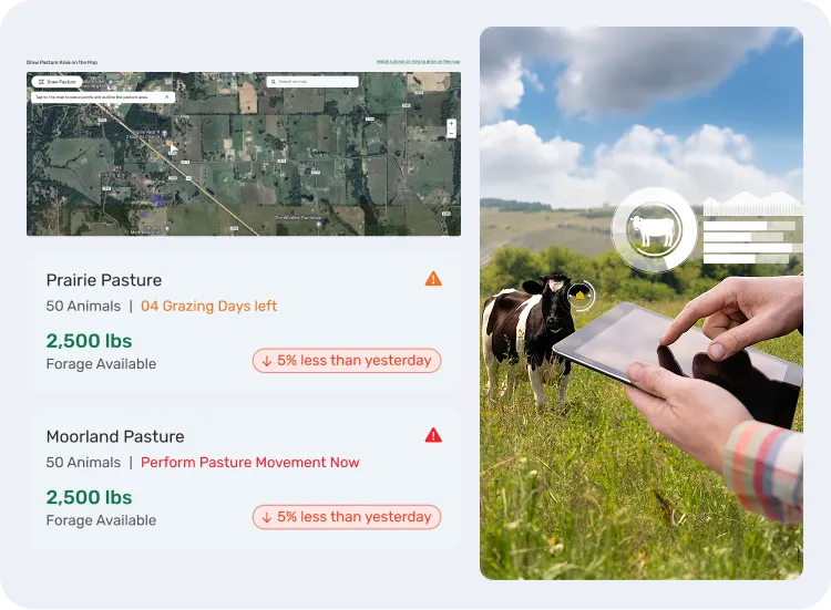 image of tracking cattle movement