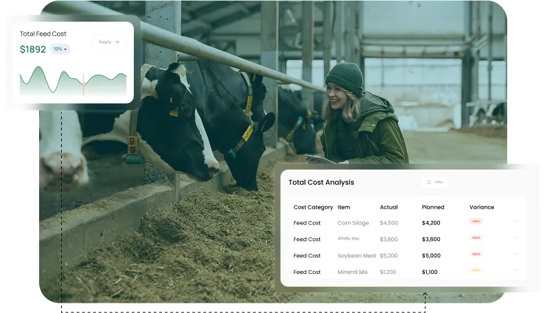 image of feed costs and budgeting