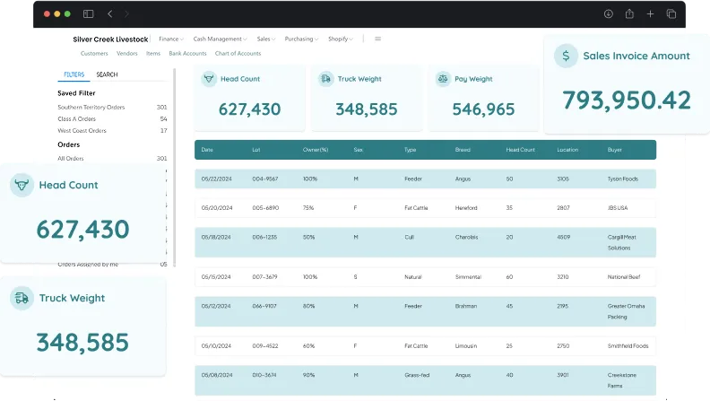 dashboard screen showcasing activities in sales & order management