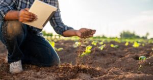 improve soil health