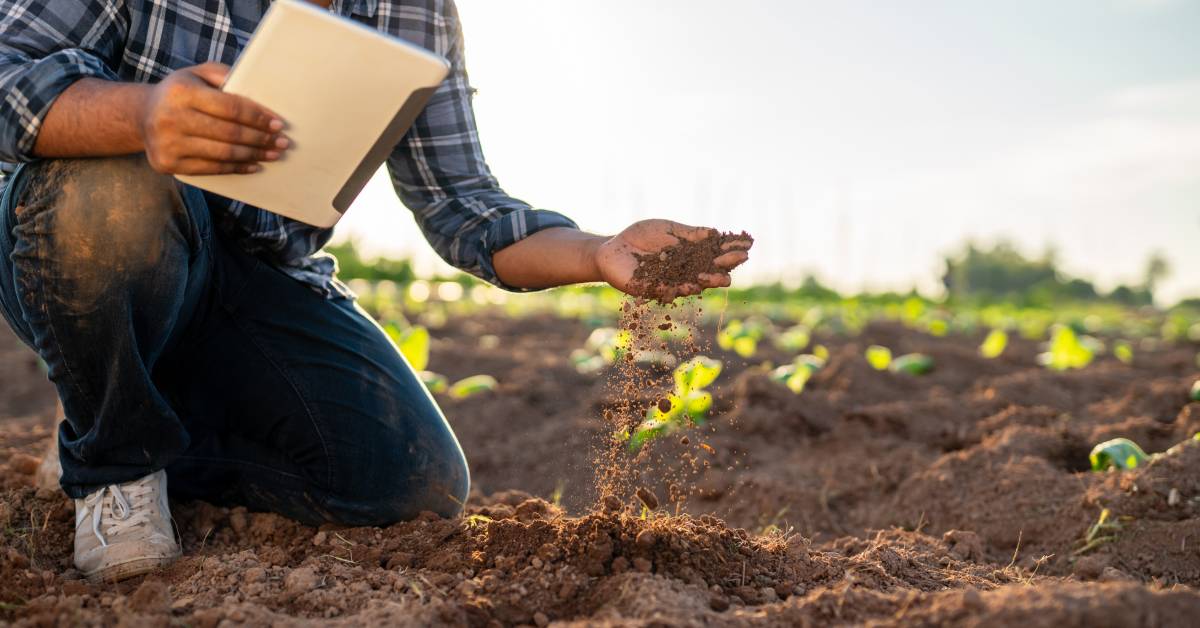 improve soil health