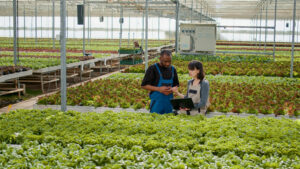 benefits of a greenhouse
