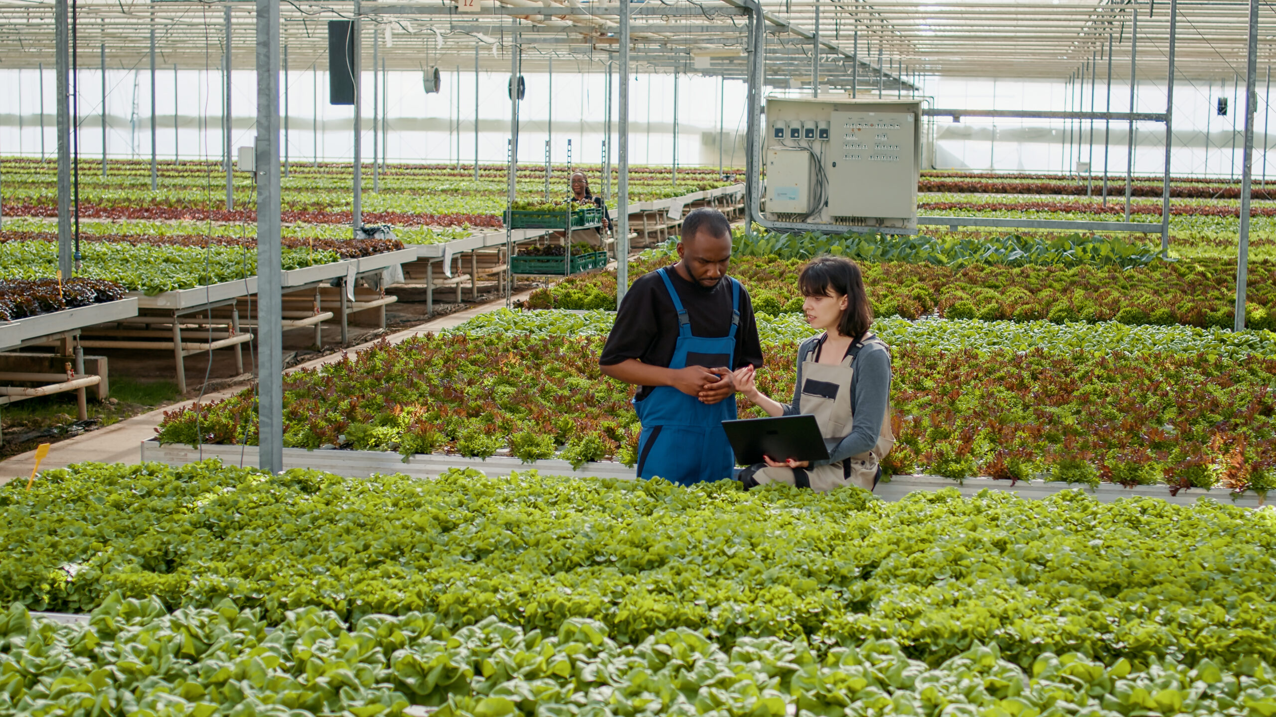 benefits of a greenhouse