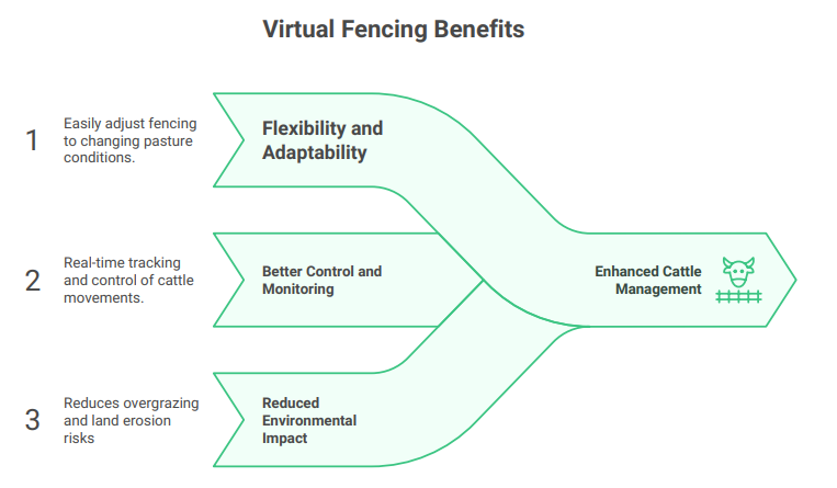 virtual fencing benefits