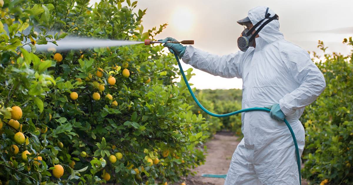 pest control methods