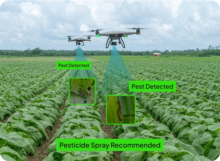 image of agronomic recommendations