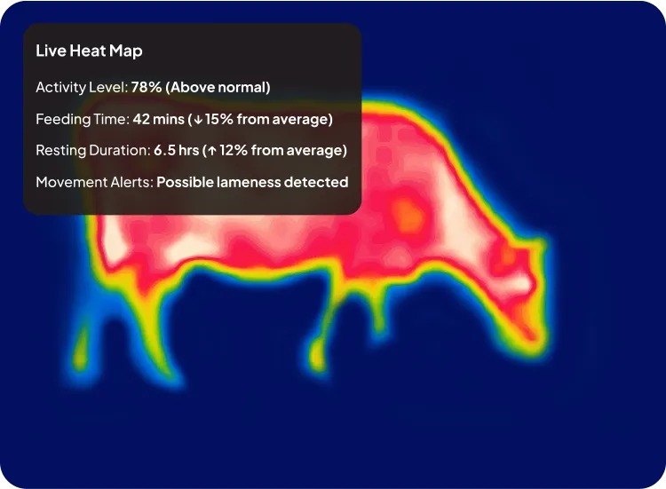 image of behavior monitoring