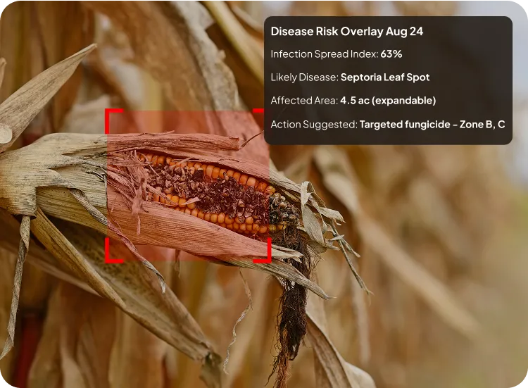image of crop disease detection