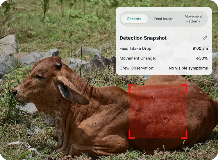 image of disease detecion