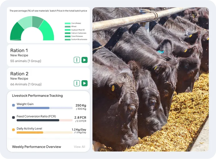 image showcasing activities in nutrition monitoring