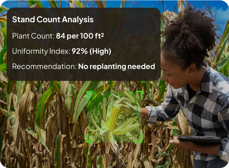 image of stand count analysis