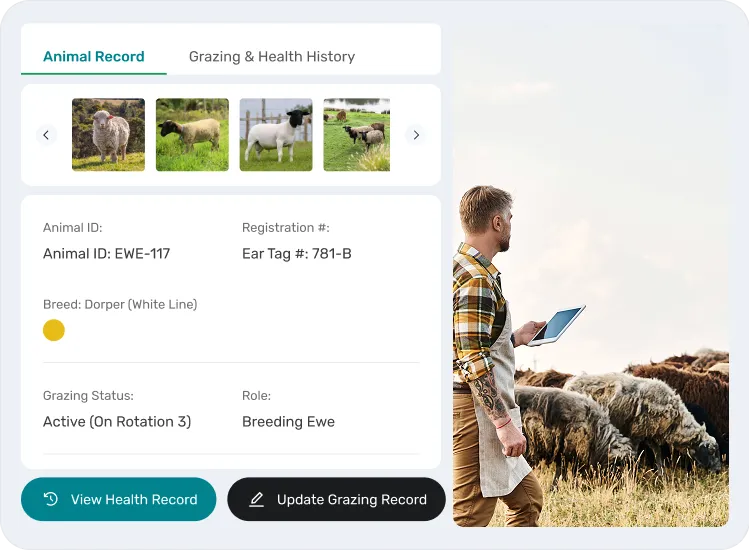 image of activities in animal management