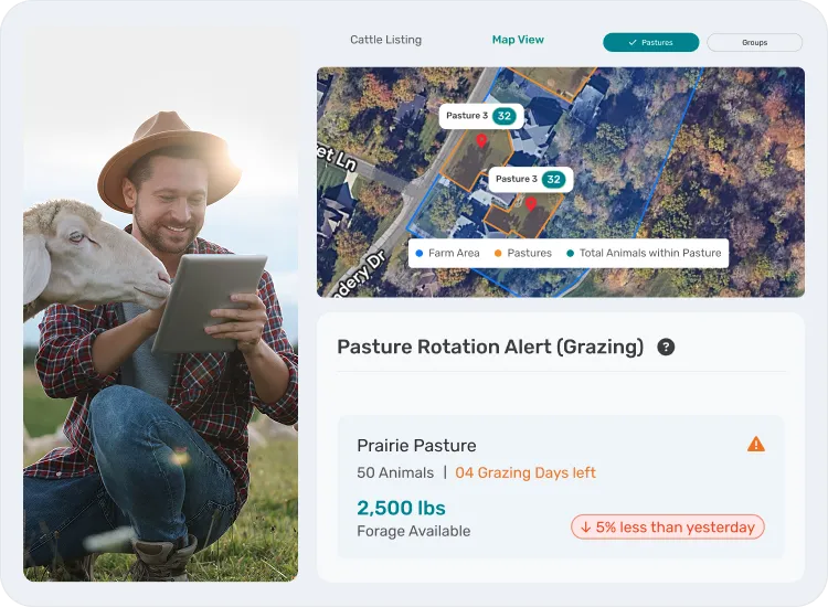 image of activites in pasture management