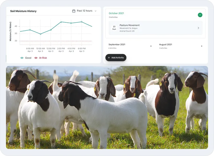 image of actvities in soil & sustainability
