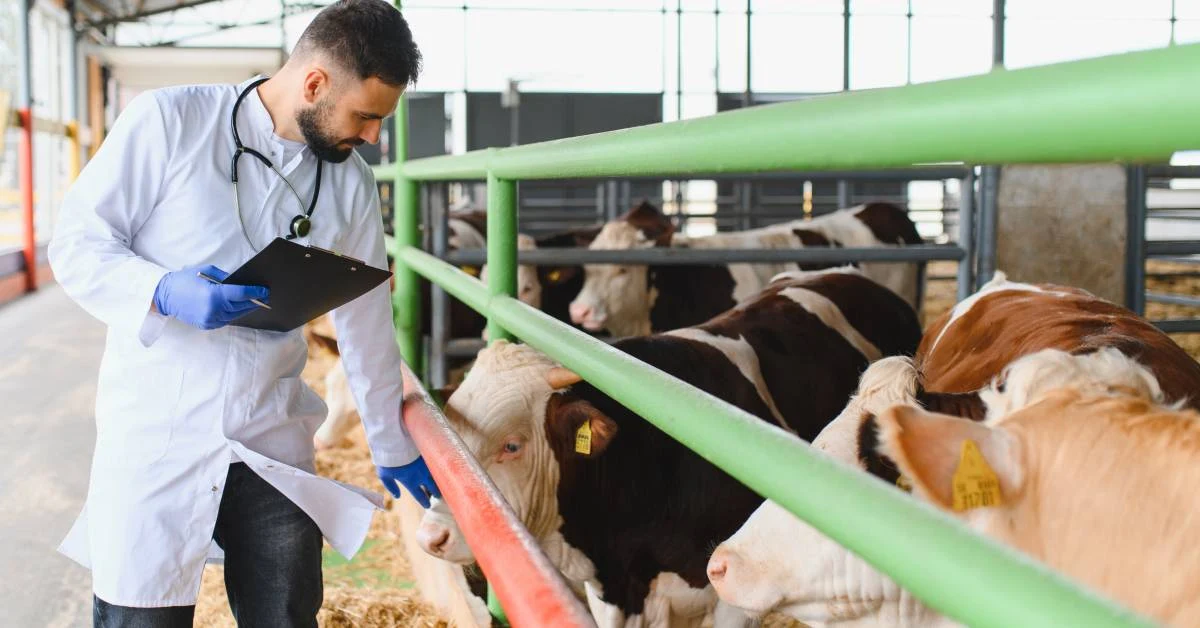 Artificial Insemination