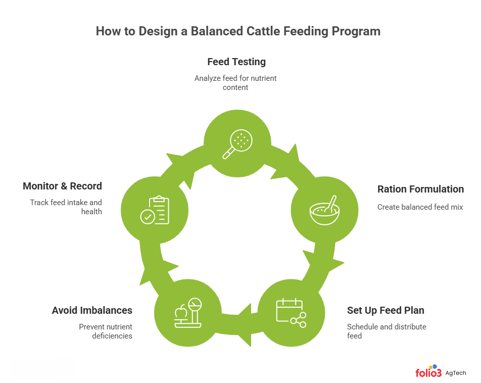 Balanced livestock Feeding Program