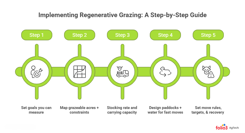 How to Start Regenerative Grazing
