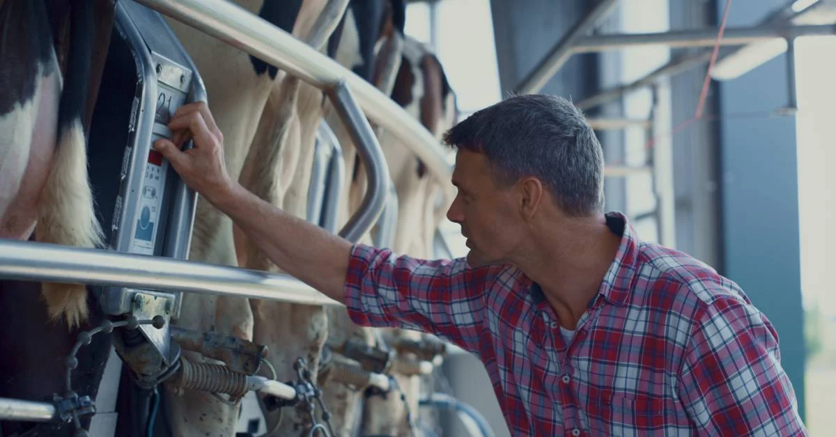 Livestock Equipment Integration