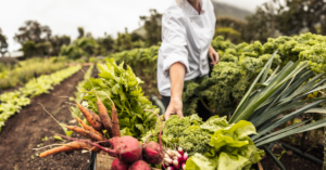 most profitable crops